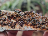 Natural Libethenite Crystals On Dolomite Matrix Specimens x 3 From Shituru, Congo