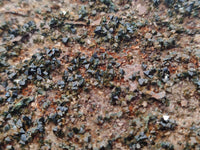 Natural Libethenite Crystals On Dolomite Matrix Specimens x 3 From Shituru, Congo