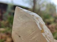 Polished Arcadian Quartz Crystals x 4 From Angola