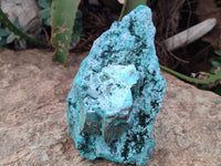 Natural Chrysocolla On Dolomite Specimen x 1 From Likasi, Congo