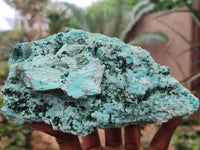 Natural Chrysocolla On Dolomite Specimen x 1 From Likasi, Congo