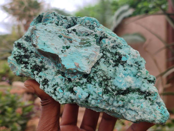 Natural Chrysocolla On Dolomite Specimen x 1 From Likasi, Congo