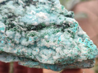 Natural Chrysocolla On Dolomite Specimen x 1 From Likasi, Congo