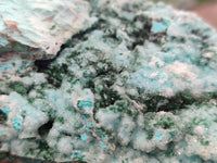 Natural Chrysocolla On Dolomite Specimen x 1 From Likasi, Congo