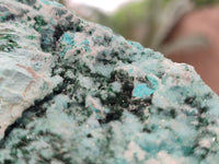 Natural Chrysocolla On Dolomite Specimen x 1 From Likasi, Congo