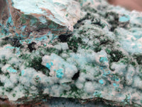 Natural Chrysocolla On Dolomite Specimen x 1 From Likasi, Congo