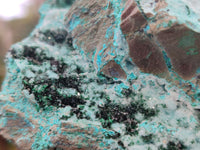 Natural Chrysocolla On Dolomite Specimen x 1 From Likasi, Congo