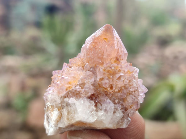 Natural Amethyst / Ametrine Spirit Quartz Clusters x 35 From South Africa