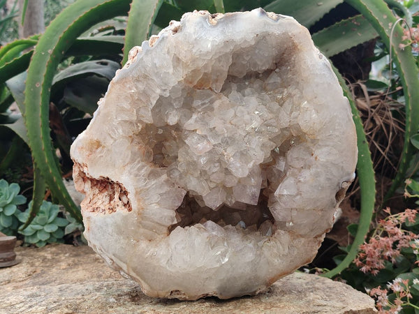 Polished Amethyst Agate Geode x 1 From Madagascar