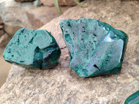 Polished Malachite Free Forms x 3 From Congo