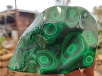 Polished Malachite Free Forms x 3 From Congo