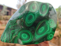 Polished Malachite Free Forms x 3 From Congo