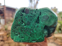 Polished Malachite Free Forms x 3 From Congo