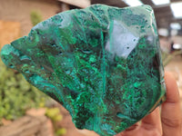 Polished Malachite Free Forms x 3 From Congo