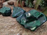 Polished Malachite Free Forms x 3 From Congo