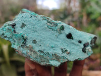 Natural Chrysocolla With Malachite Dolomite Specimens x 3 From Congo