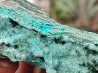 Natural Chrysocolla With Malachite Dolomite Specimens x 3 From Congo