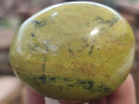 Polished Green Opal Galet / Palm Stones x 12 From Madagascar