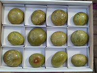 Polished Green Opal Galet / Palm Stones x 12 From Madagascar