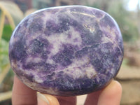 Polished Lepidolite Galet / Palm Stones x 12 From Zimbabwe