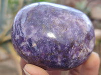 Polished Lepidolite Galet / Palm Stones x 12 From Zimbabwe