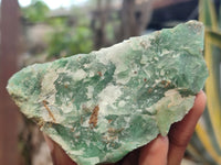 Natural Green Jade Cobbed Specimens x 12 From Swaziland