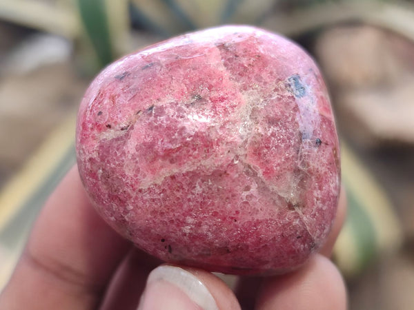 Polished Rhodonite Free Forms x 8 From Zimbabwe