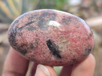 Polished Rhodonite Free Forms x 8 From Zimbabwe