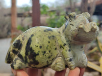 Polished Leopard Stone Hippo Carvings x 2 From Zimbabwe