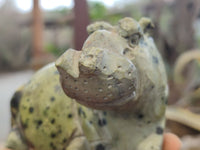 Polished Leopard Stone Hippo Carvings x 2 From Zimbabwe