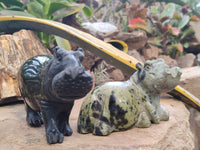 Polished Leopard Stone Hippo Carvings x 2 From Zimbabwe