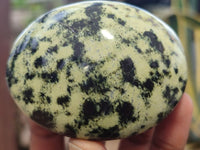 Polished Leopard Stone Galet / Palm Stones x 12 From Zimbabwe