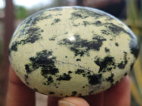 Polished Leopard Stone Galet / Palm Stones x 12 From Zimbabwe