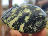 Polished Leopard Stone Galet / Palm Stones x 12 From Zimbabwe