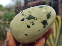 Polished Leopard Stone Galet / Palm Stones x 12 From Zimbabwe