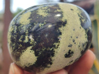 Polished Leopard Stone Galet / Palm Stones x 12 From Zimbabwe