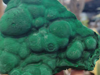 Natural Botryoidal Malachite Specimens x 2 From Congo