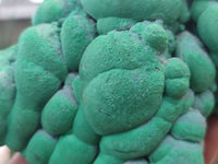 Natural Botryoidal Malachite Specimens x 2 From Congo