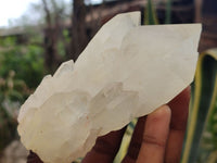 Natural Quartz Clusters x 4 From Madagascar