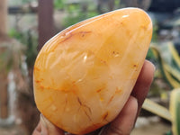 Polished Carnelian Standing Free Forms x 5 From Madagascar