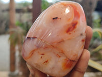 Polished Carnelian Standing Free Forms x 5 From Madagascar