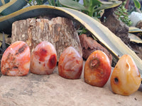 Polished Carnelian Standing Free Forms x 5 From Madagascar