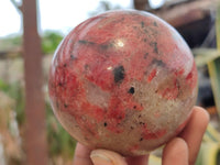 Polished Rhodonite Spheres x 2 From Zimbabwe