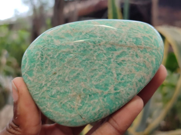 Polished Amazonite Free Forms x 6 From Zimbabwe