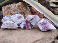 Natural Rubellite Pink Tourmaline Matrix Specimens x 5 From Namibia