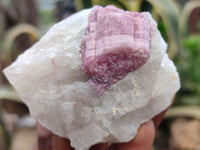 Natural Rubellite Pink Tourmaline Matrix Specimens x 5 From Namibia