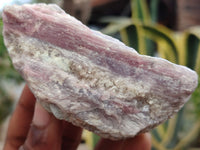 Natural Rubellite Pink Tourmaline Matrix Specimens x 5 From Namibia