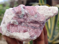 Natural Rubellite Pink Tourmaline Matrix Specimens x 5 From Namibia