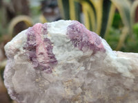 Natural Rubellite Pink Tourmaline Matrix Specimens x 5 From Namibia