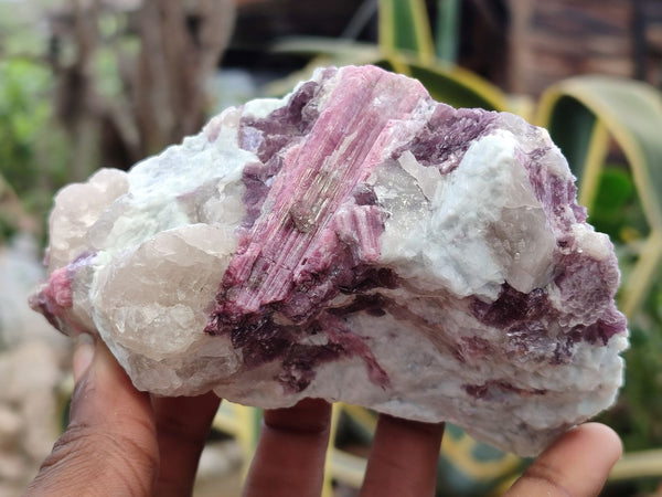 Natural Rubellite Pink Tourmaline Matrix Specimens x 5 From Namibia